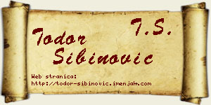 Todor Sibinović vizit kartica